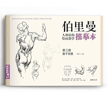Amazon.com: 伯里曼人体结构绘画教学描摹本(共4册)/经典全集